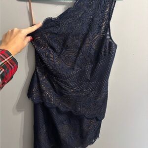 BCBGMaxAzria Navy and Beige Lace Dress